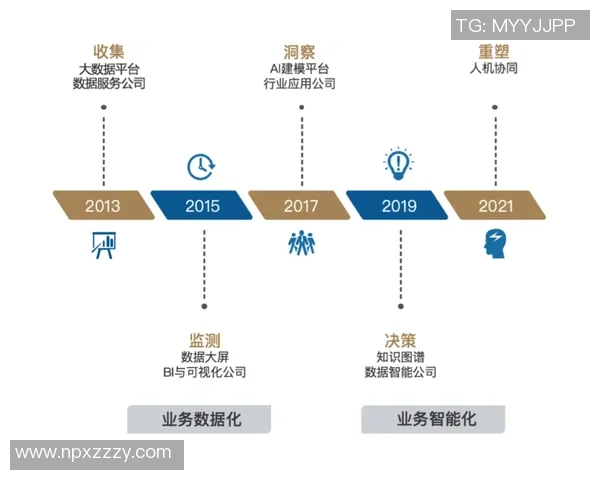深入探讨杭州排球队实力表现的数据分析与未来发展趋势